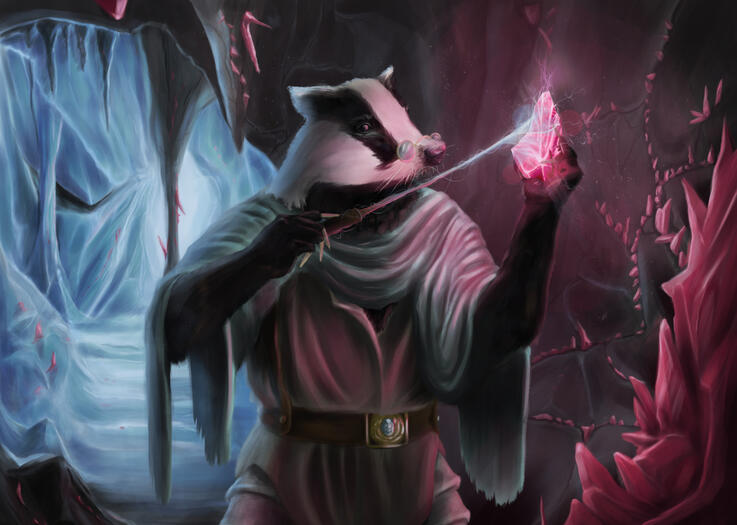 Badger Wizard